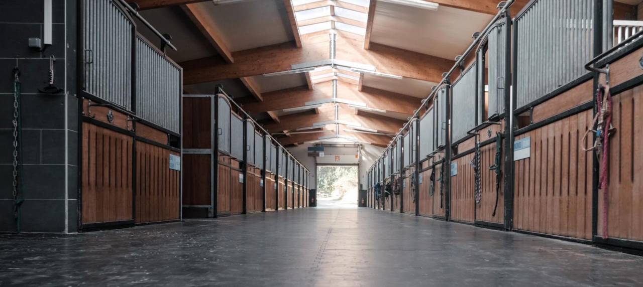 Livery yard  Haut-Rhin