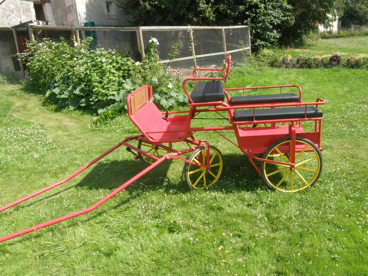 Carriage - Wagonnette   