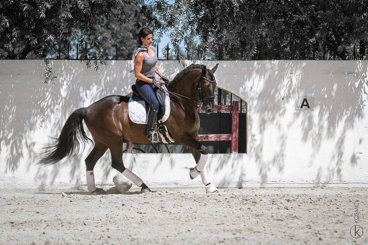 Veludo  - Lusitano 2009