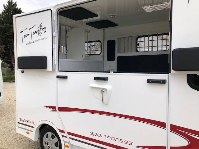 Horsebox HGV Trans Box New Svelto4 R  2024 New