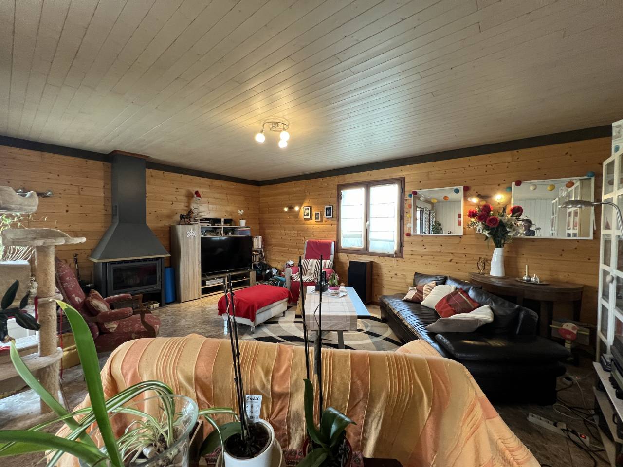 Livery yard  Corr&egrave;ze