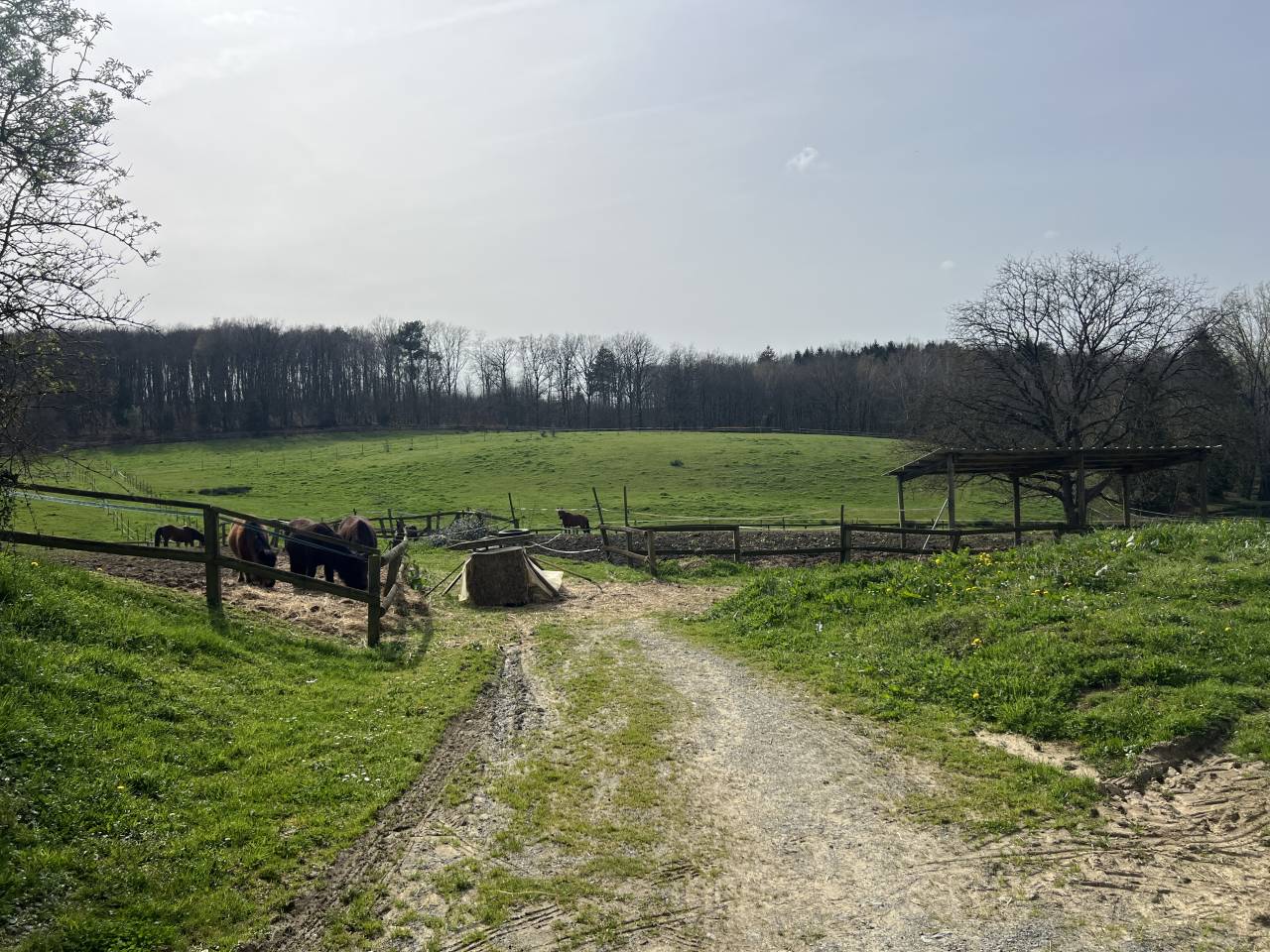 Livery yard  Corr&egrave;ze