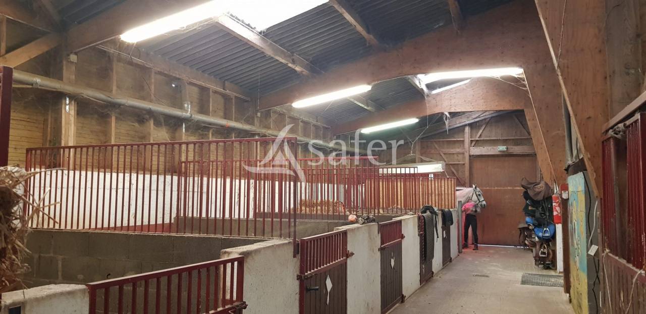 Equestrian property  Haute-Loire