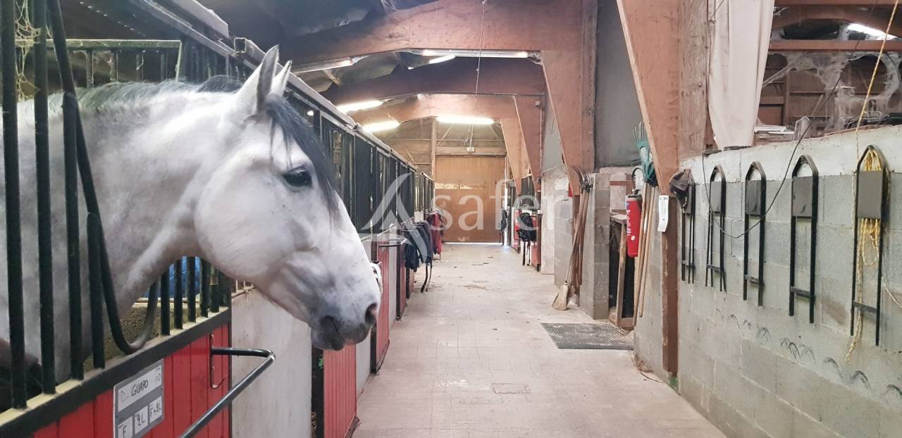 Equestrian property  Haute-Loire