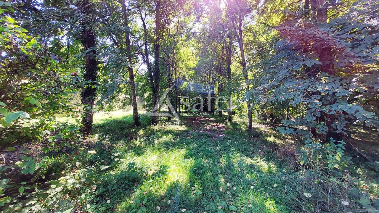 Equestrian property  Seine-et-Marne