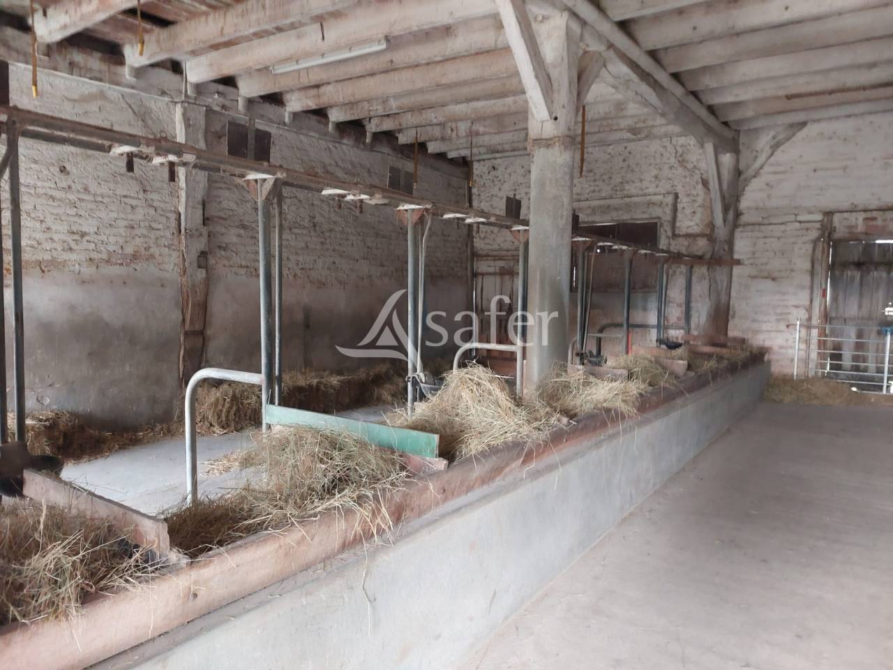 Sheep farm  Dordogne