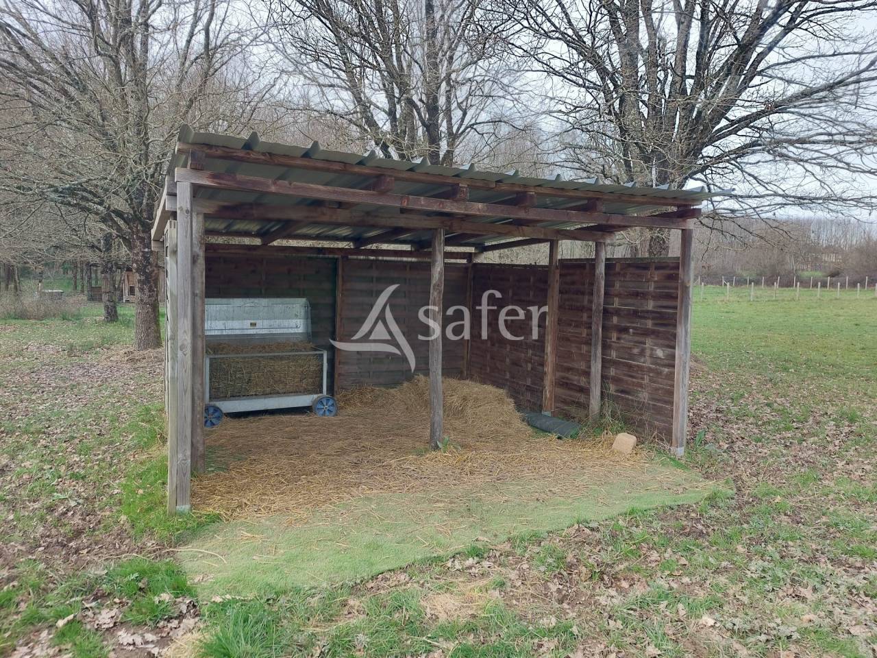 Sheep farm  Dordogne