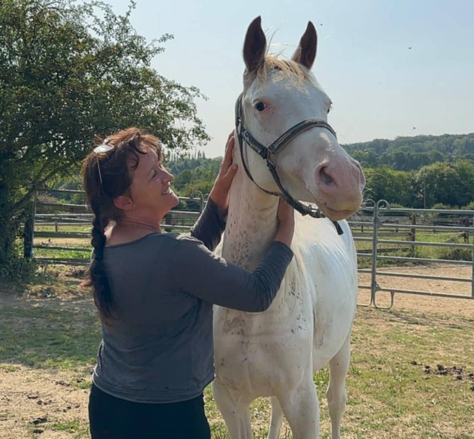 Colt Anglo-Arabian For sale 2023 Other color