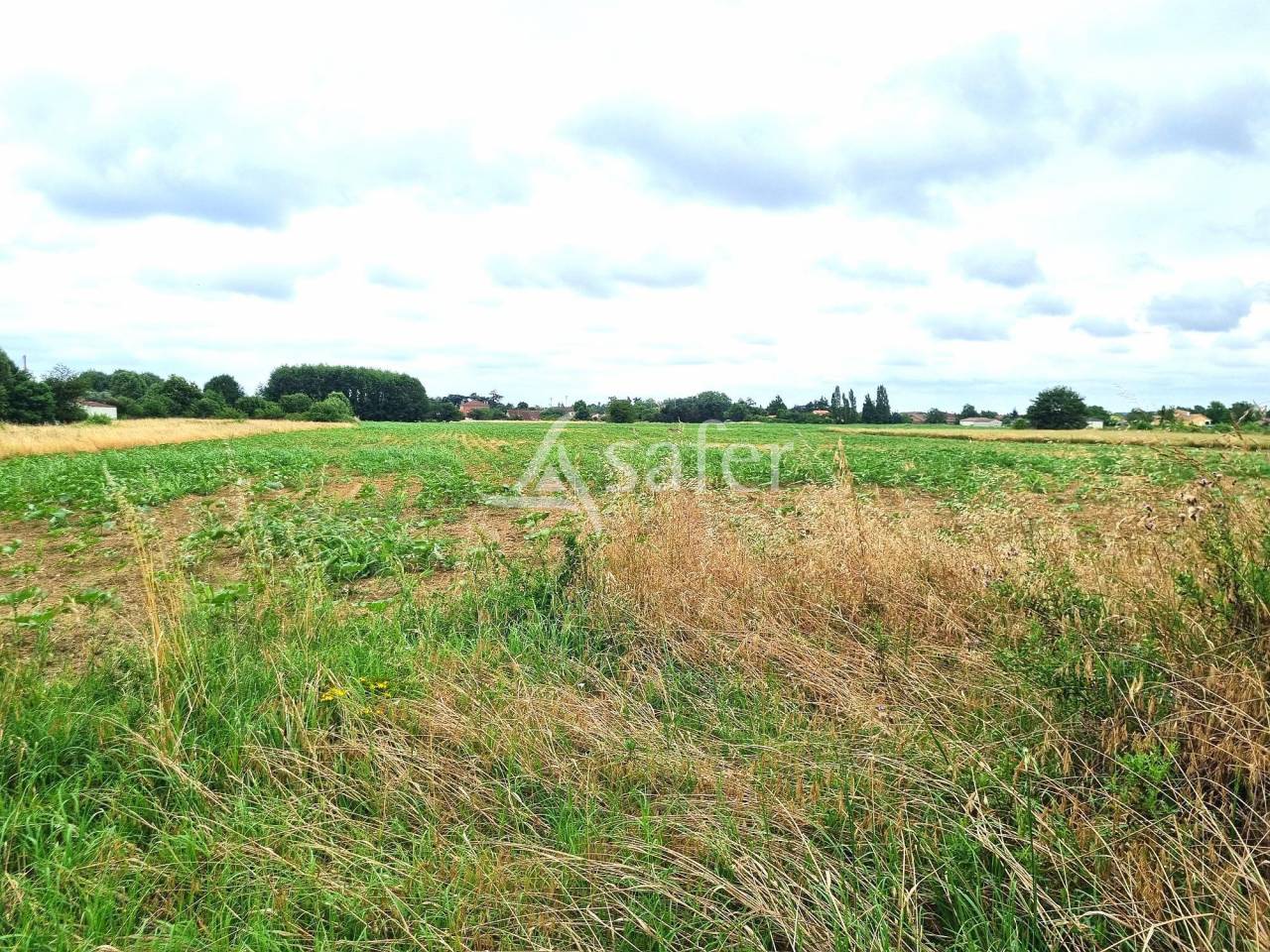 Other country property  Tarn-et-Taronne