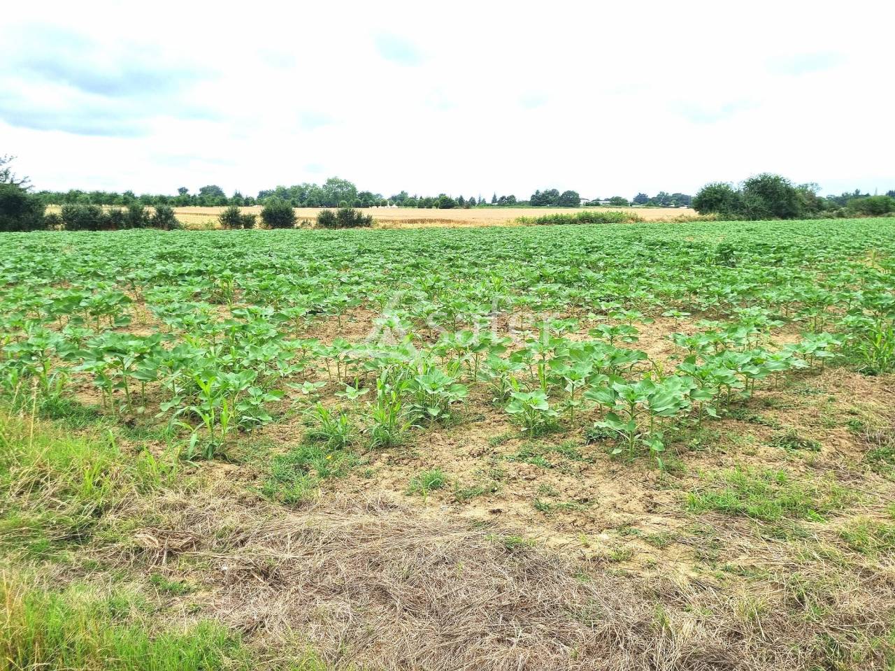 Other country property  Tarn-et-Taronne