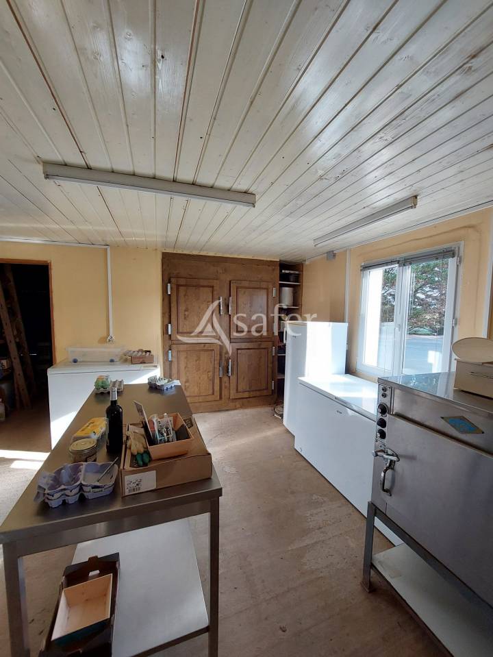 Vegetable farm  Charente-Maritime