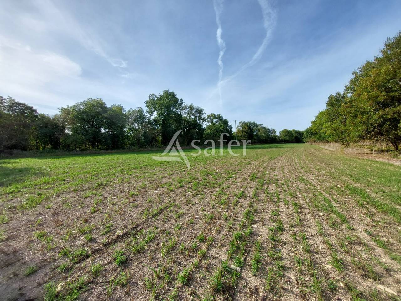 Vegetable farm  Charente-Maritime