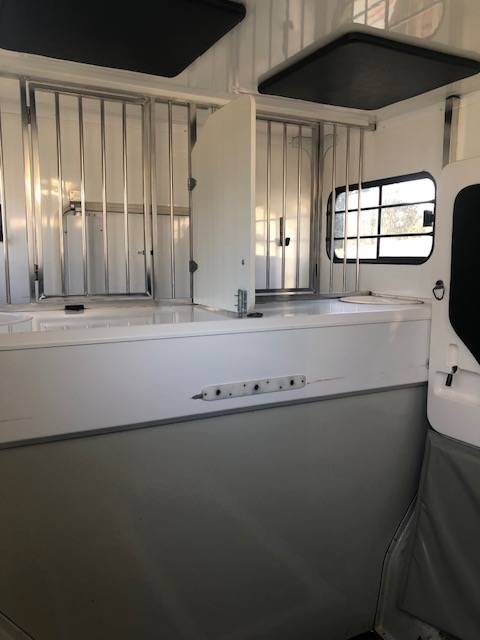 Horsebox HGV Trans Box Svelto 4 2020 Used