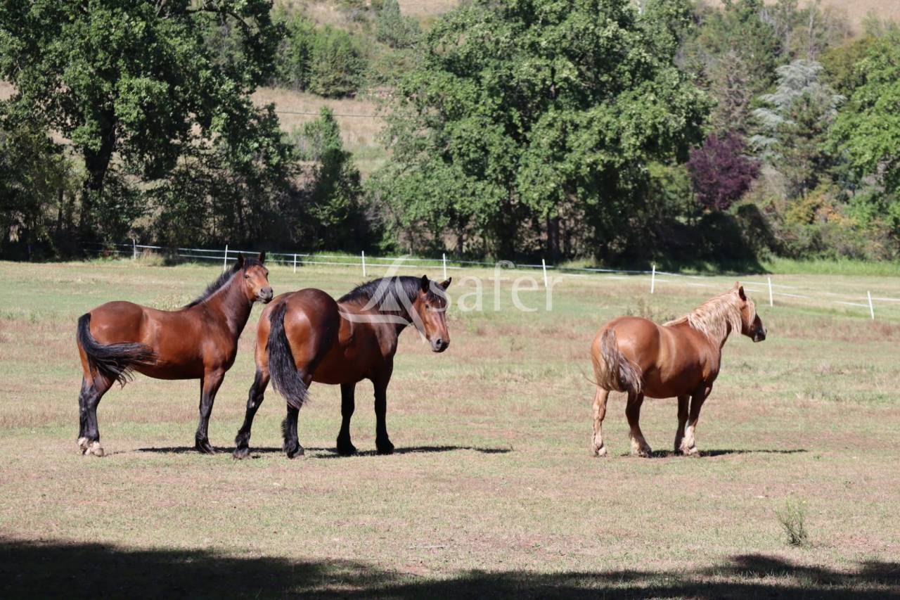 Other country property  Puy-de-Dôme