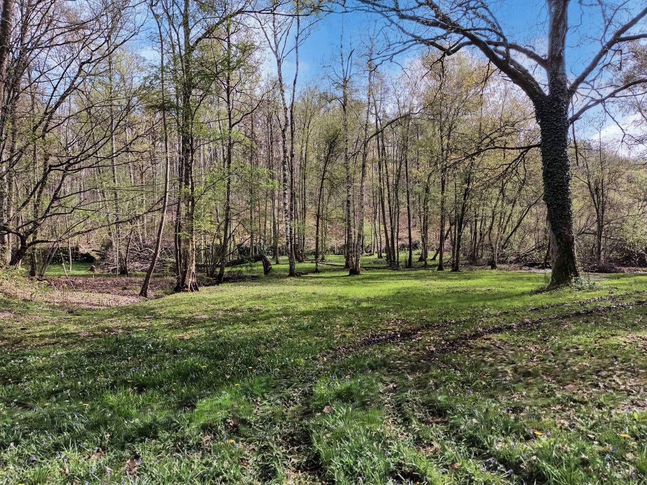 Luxurious equestrian property  Yvelines