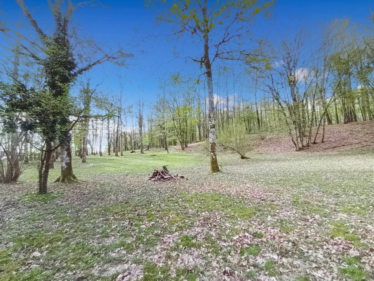 Luxurious equestrian property  Yvelines