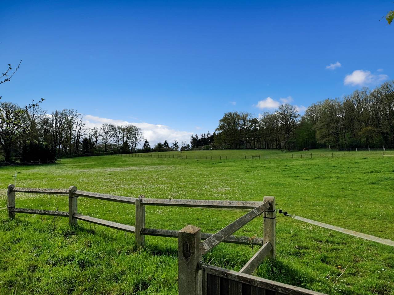 Luxurious equestrian property  Yvelines