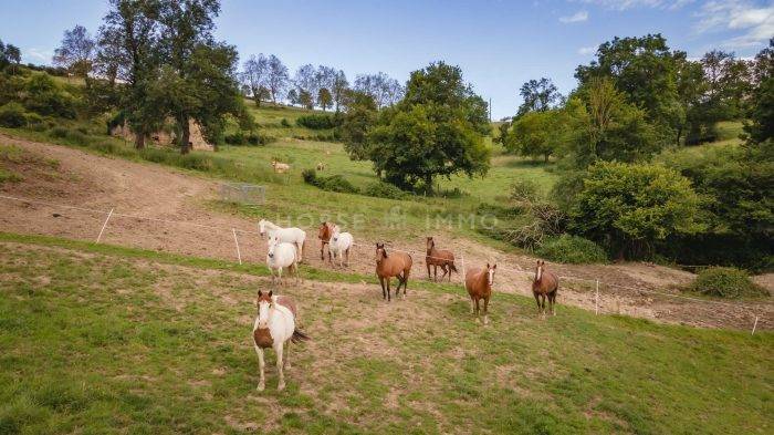 Equestrian property  Loire
