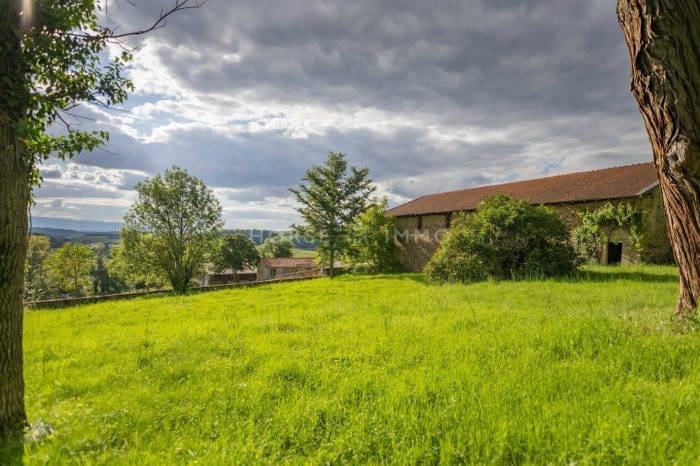 Equestrian property  Loire