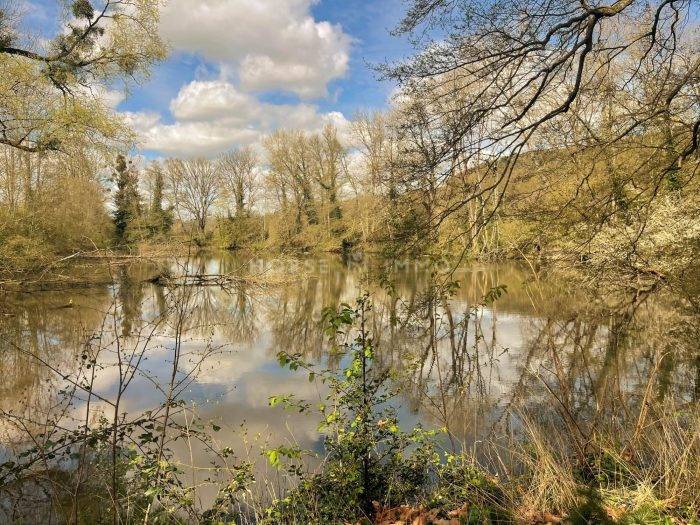 Equestrian property  Orne