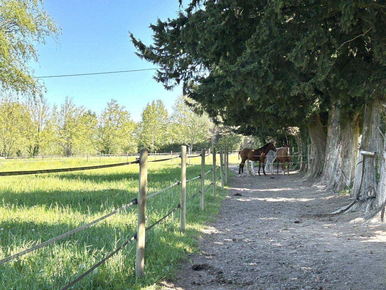 Equestrian property  Bouches-du-Rhône