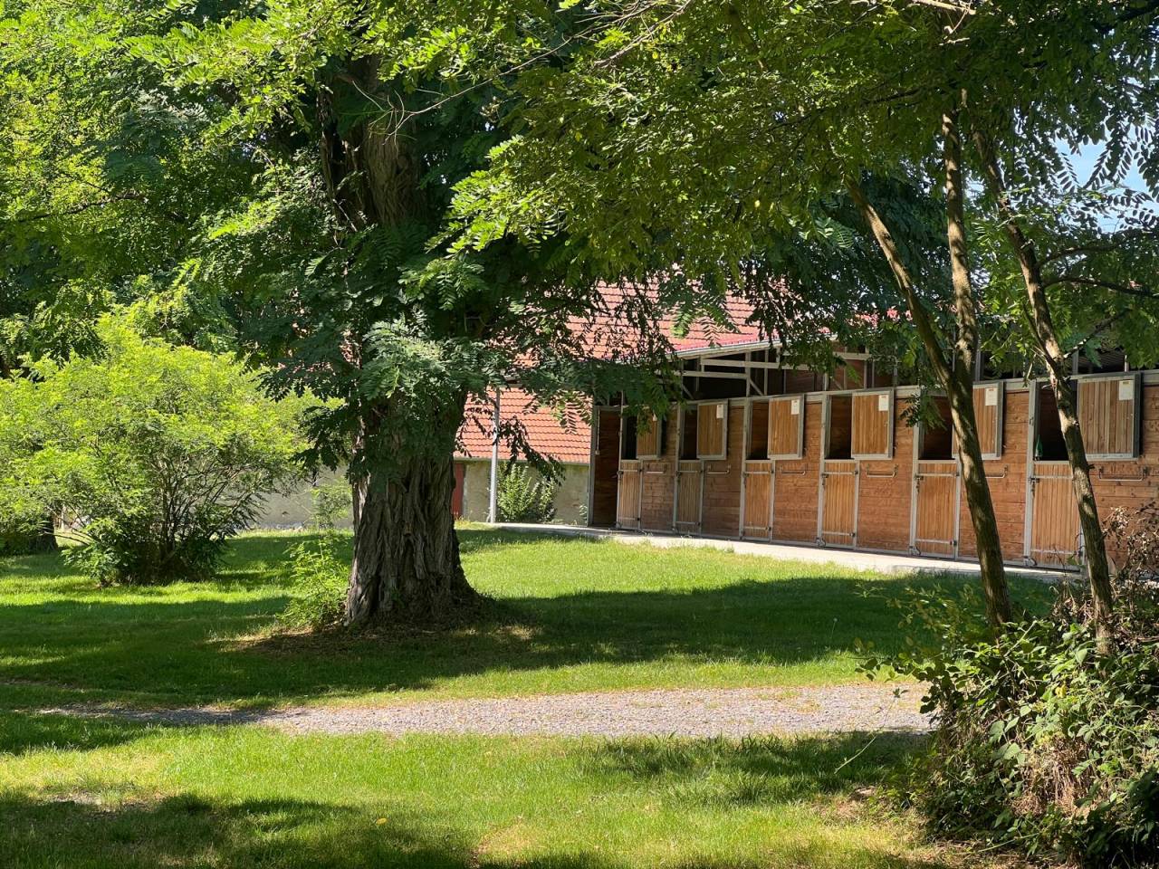 Equestrian property  Allier