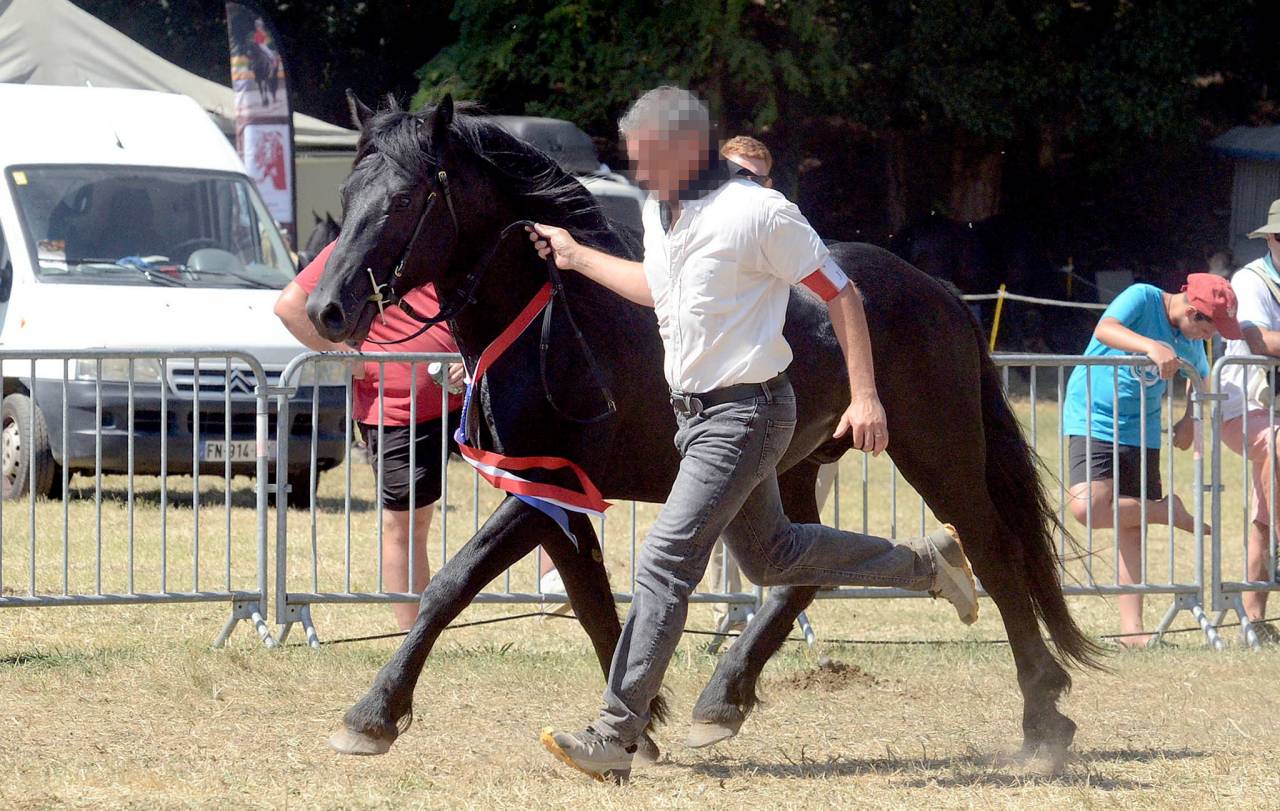 JOYEUX D'HEINS - Mérens 2019