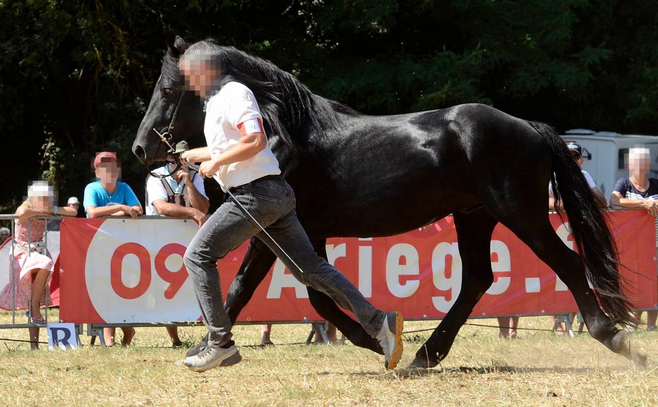 JOYEUX D'HEINS - Mérens 2019