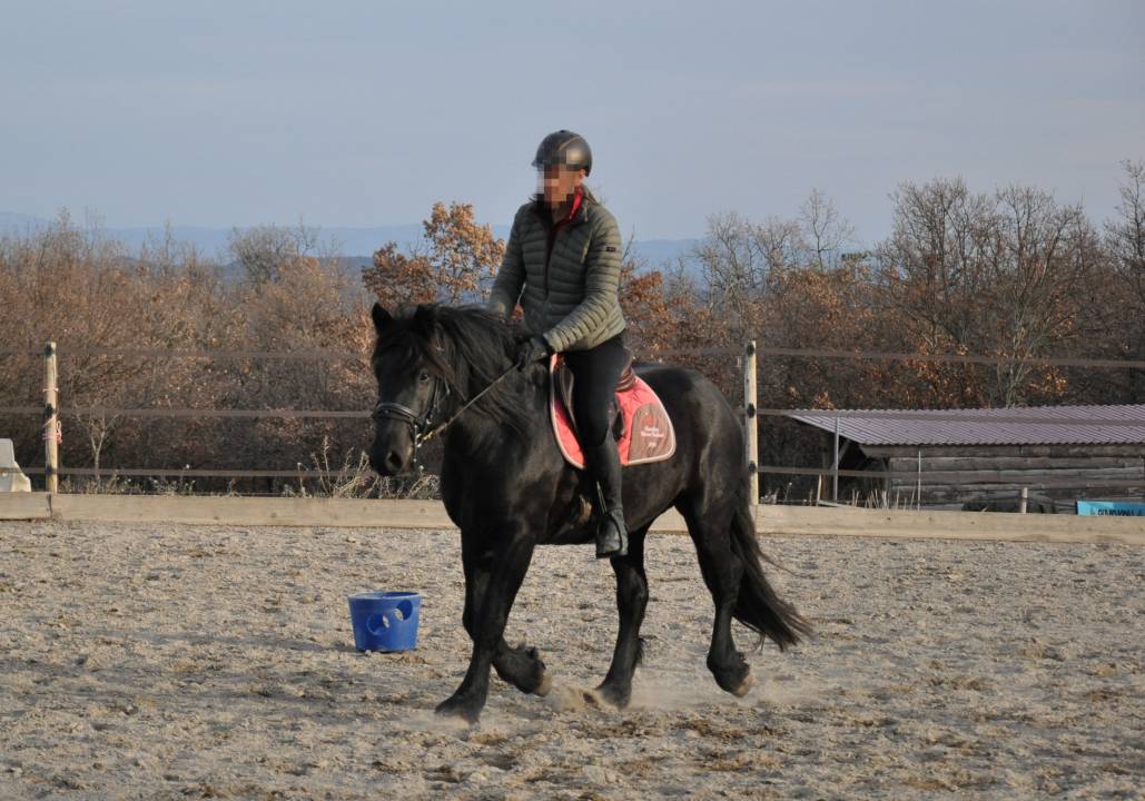 JOYEUX D'HEINS - Mérens 2019
