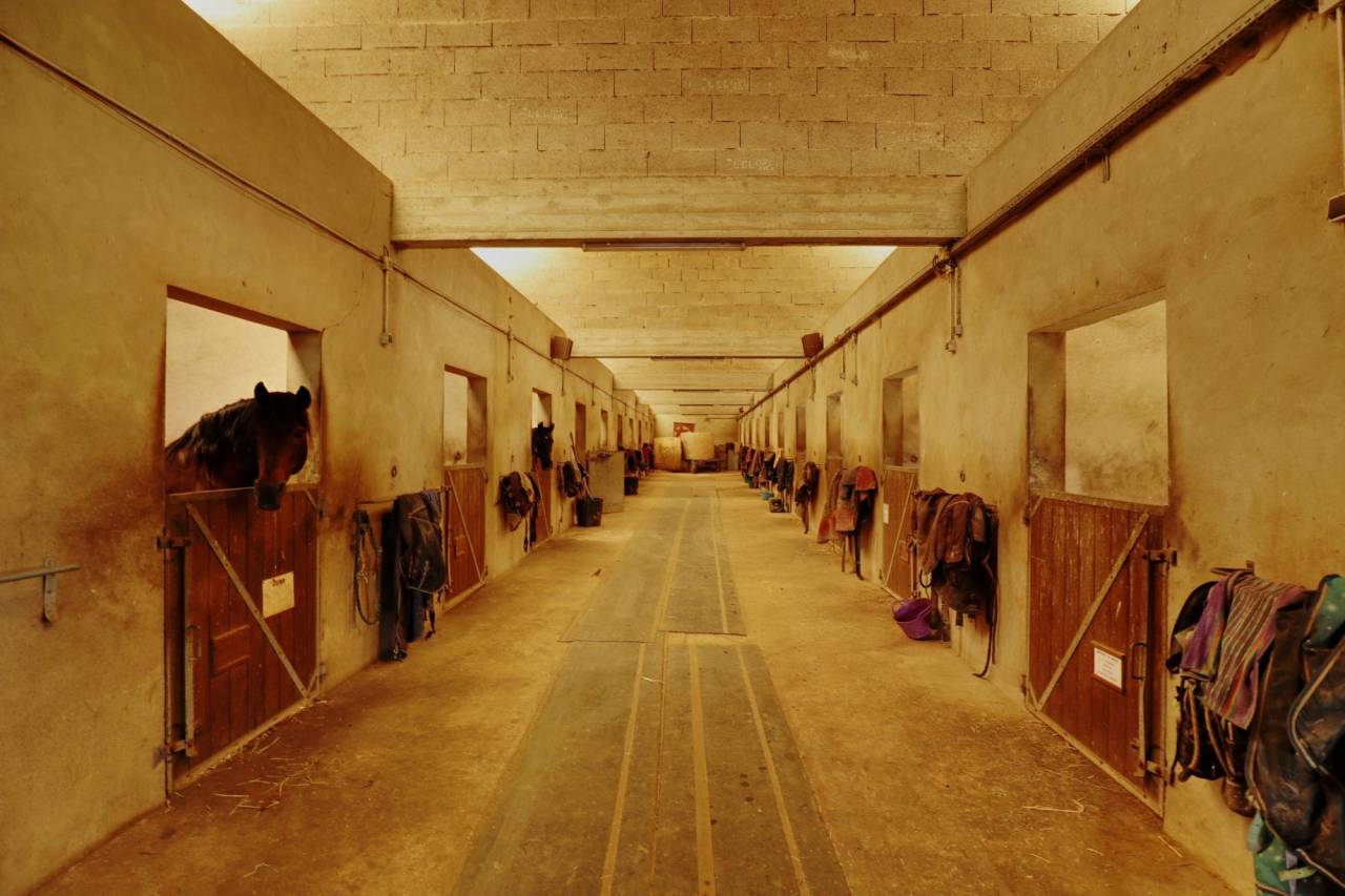 Livery yard  Seine-et-Marne