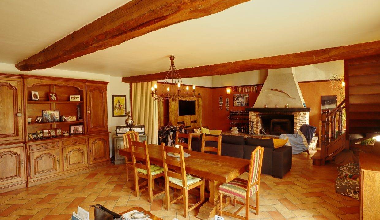 Livery yard  Seine-et-Marne