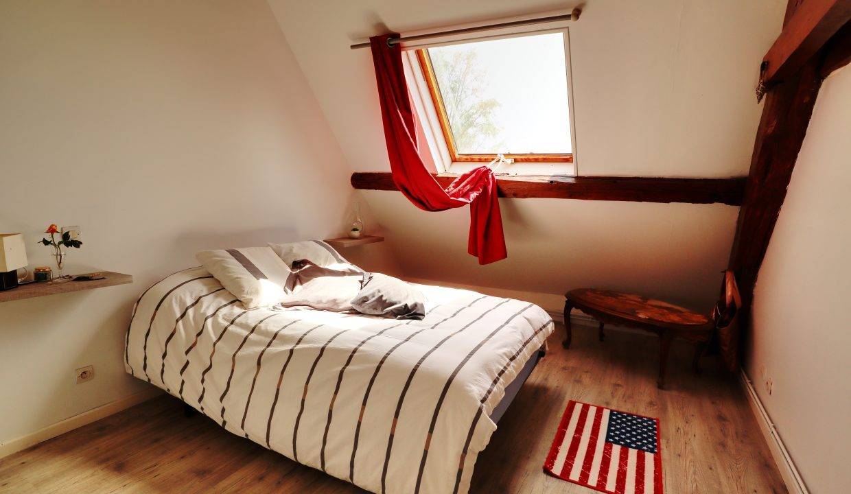 Livery yard  Seine-et-Marne