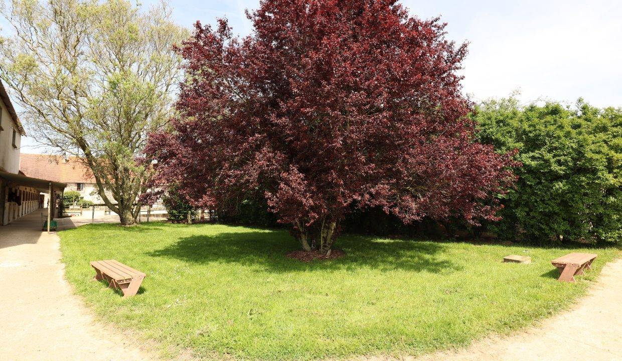 Livery yard  Seine-et-Marne