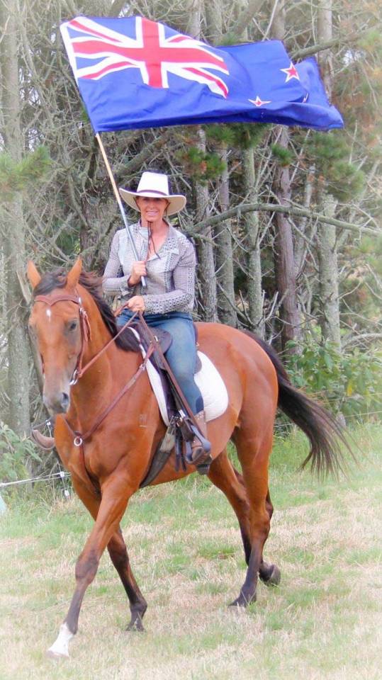 Gelding Origin Recorded For sale 2021 Bay