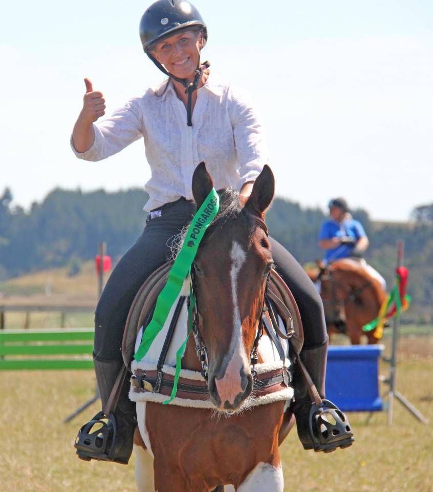 Gelding Origin Recorded For sale 2021 Bay