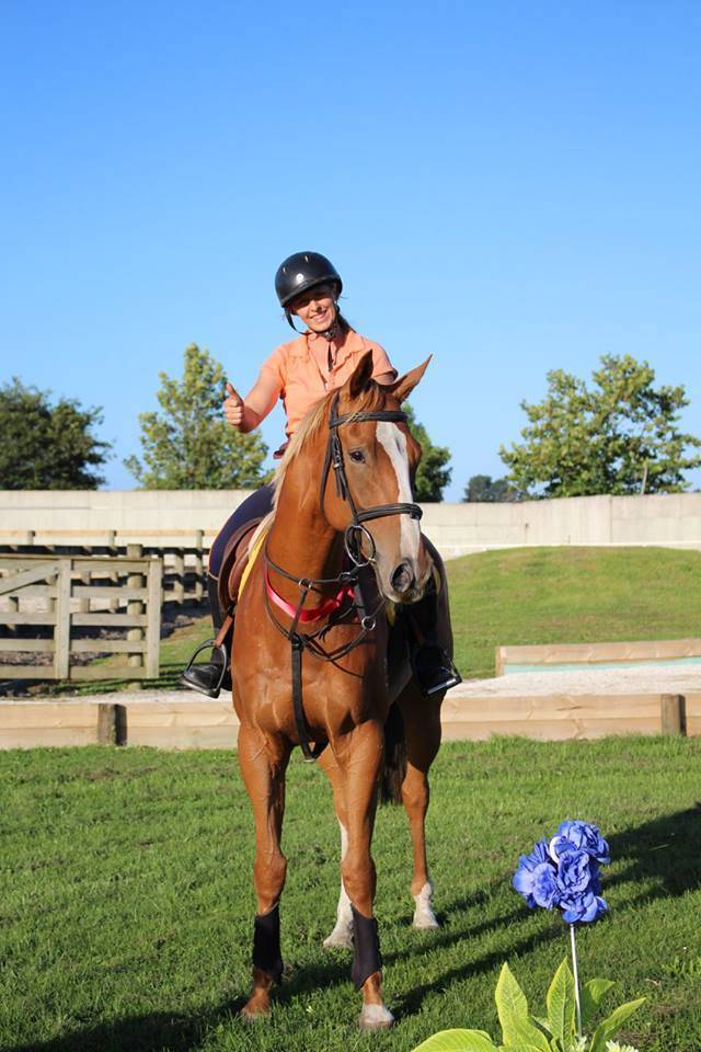 Gelding Origin Recorded For sale 2021 Bay