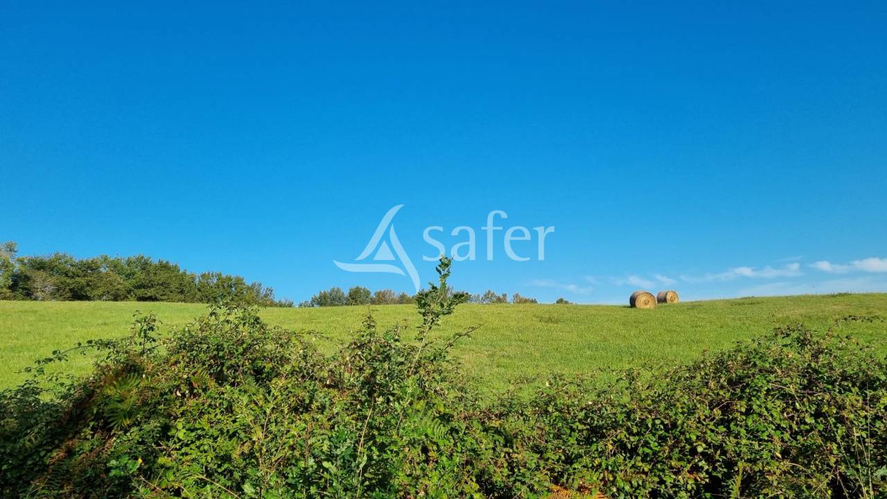 Other agricultural property  Gers