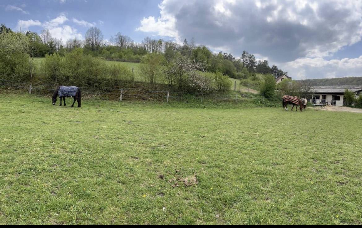 Equestrian property  Yonne