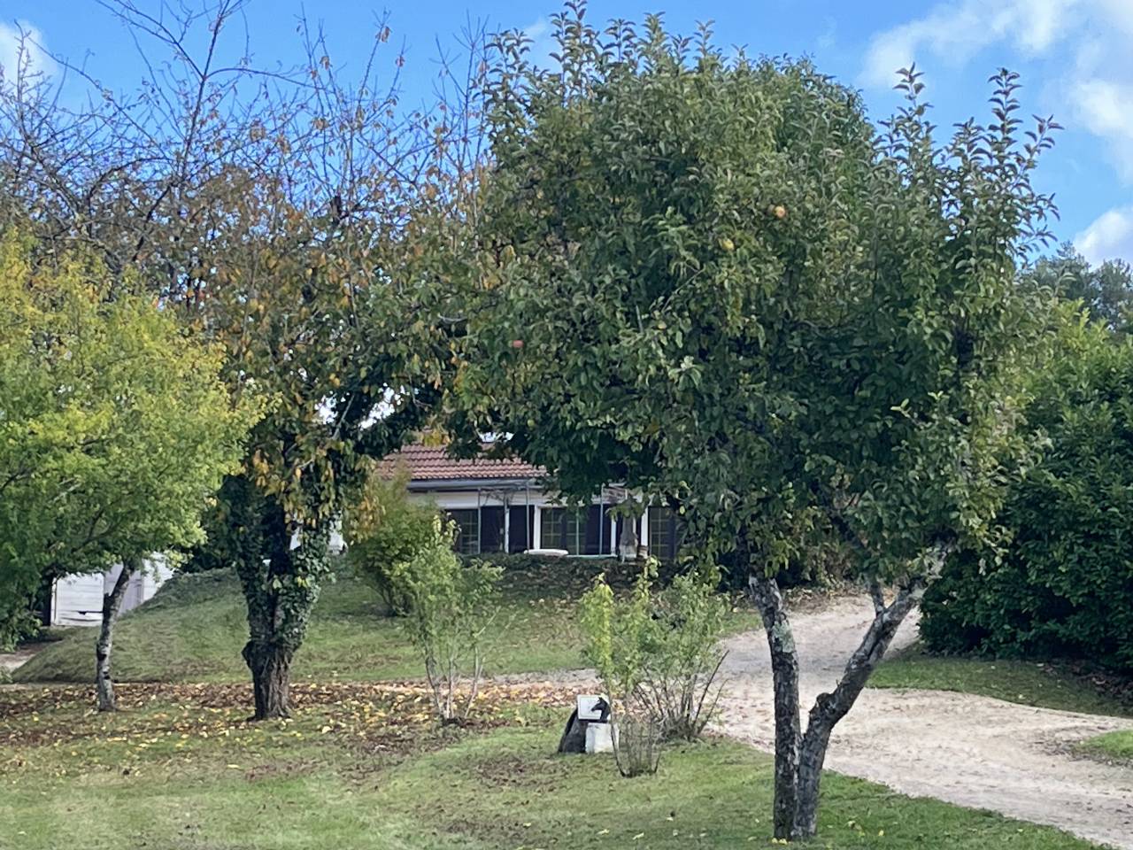 Equestrian property  Yonne