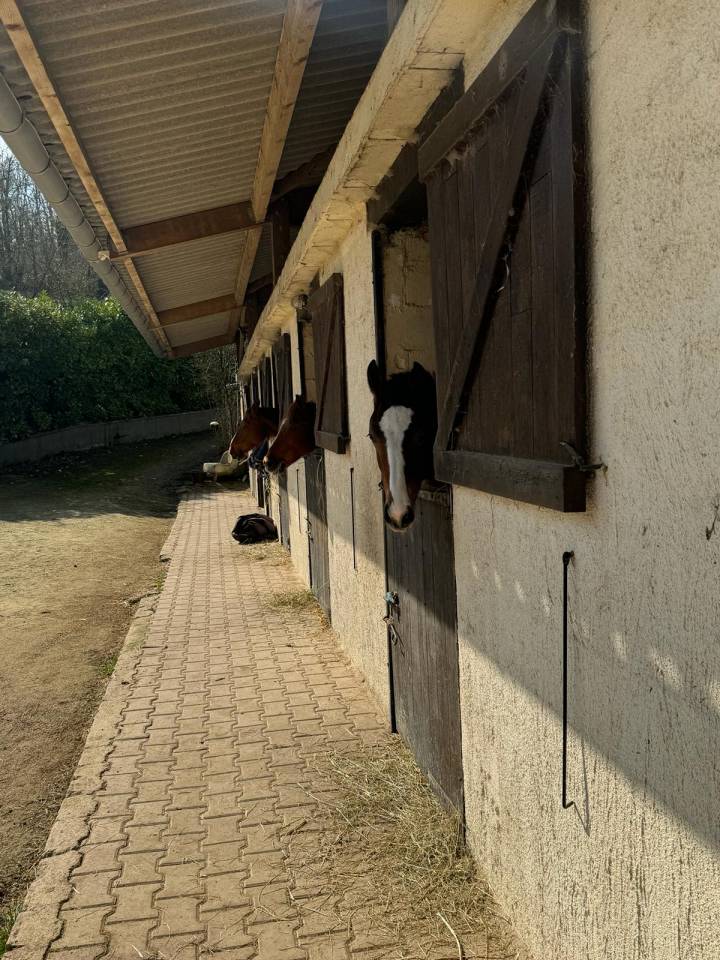 Equestrian property  Yonne