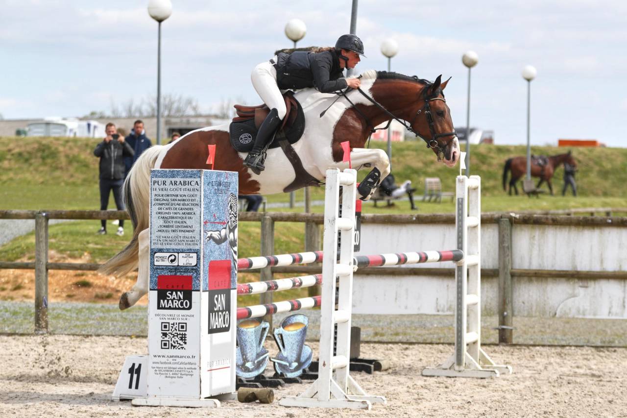 JERICHO DU LAGON - Saddle Horse 2019