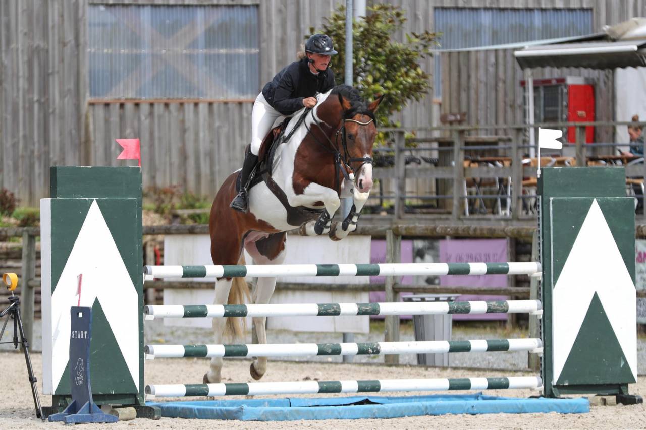 JERICHO DU LAGON - Saddle Horse 2019