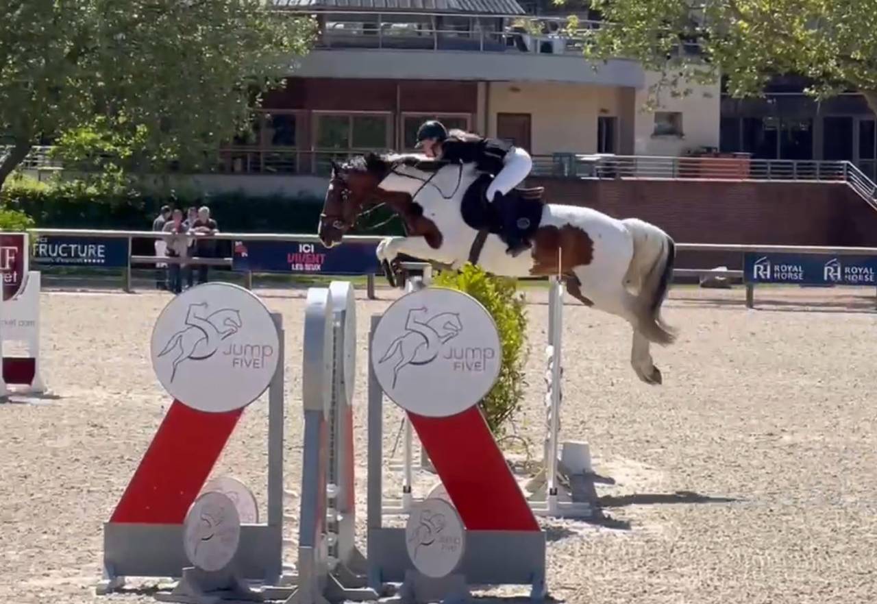 JERICHO DU LAGON - Saddle Horse 2019