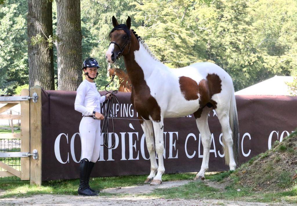 JERICHO DU LAGON - Saddle Horse 2019