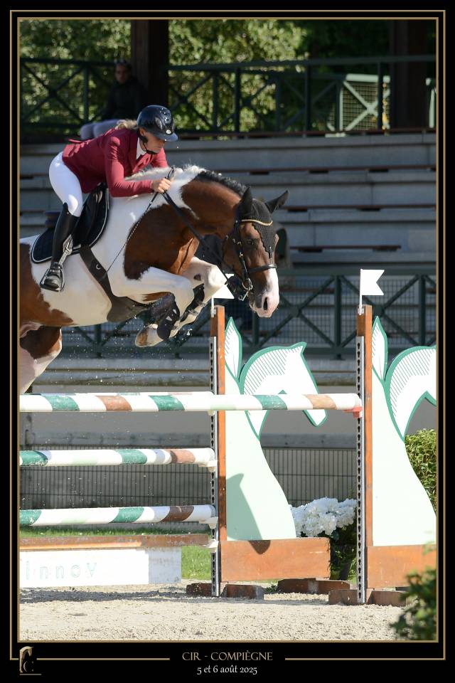 JERICHO DU LAGON - Saddle Horse 2019 by Envol van de Rib