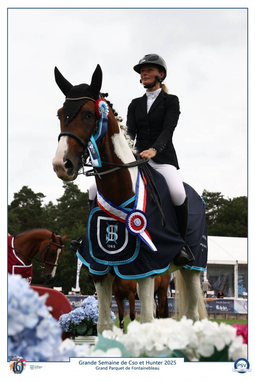 JERICHO DU LAGON - Saddle Horse 2019 by Envol van de Rib