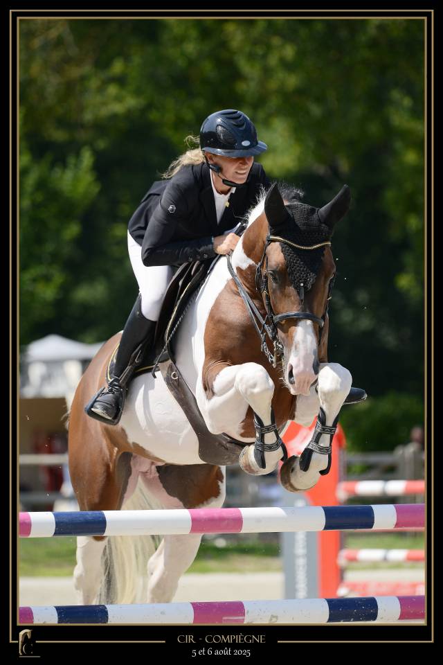 JERICHO DU LAGON - Saddle Horse 2019 by Envol van de Rib