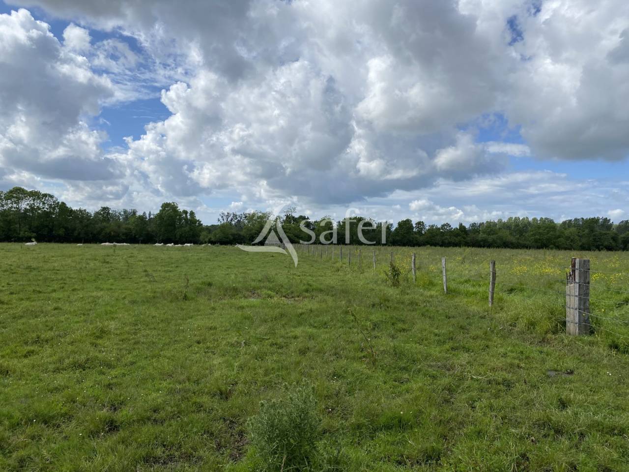 Equestrian property  Calvados