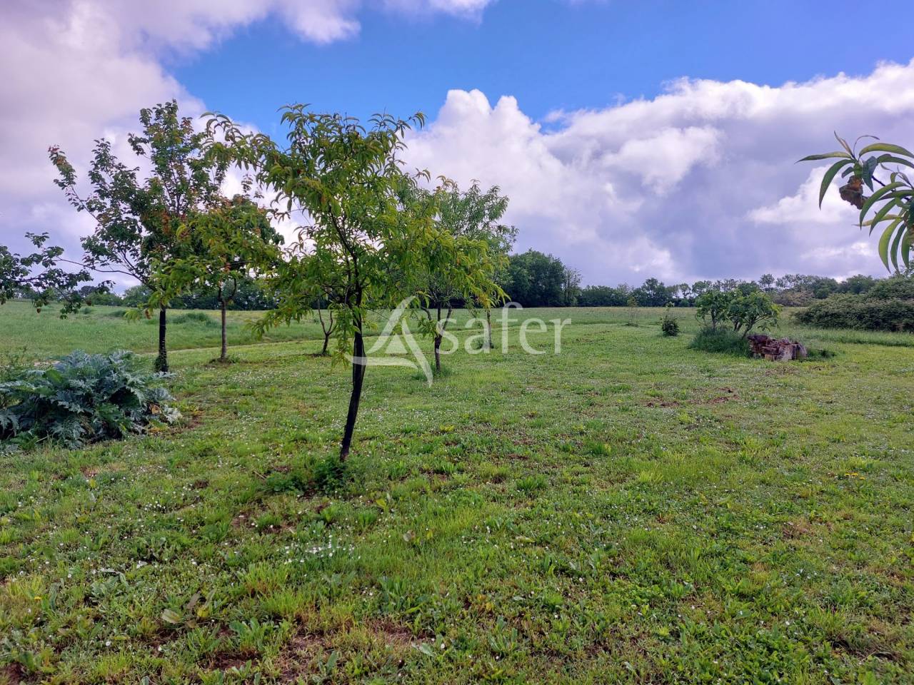 Other agricultural property  Dordogne