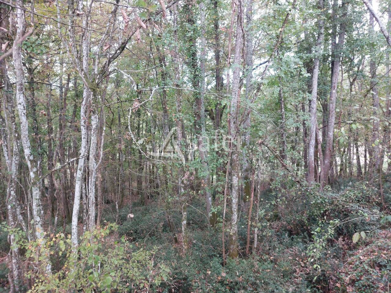 Other agricultural property  Dordogne